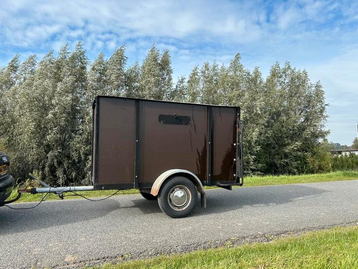Veekar/trailer, Dieren en Toebehoren, Schapen, Geiten en Varkens, Schaap, Meerdere dieren, 6 jaar of ouder