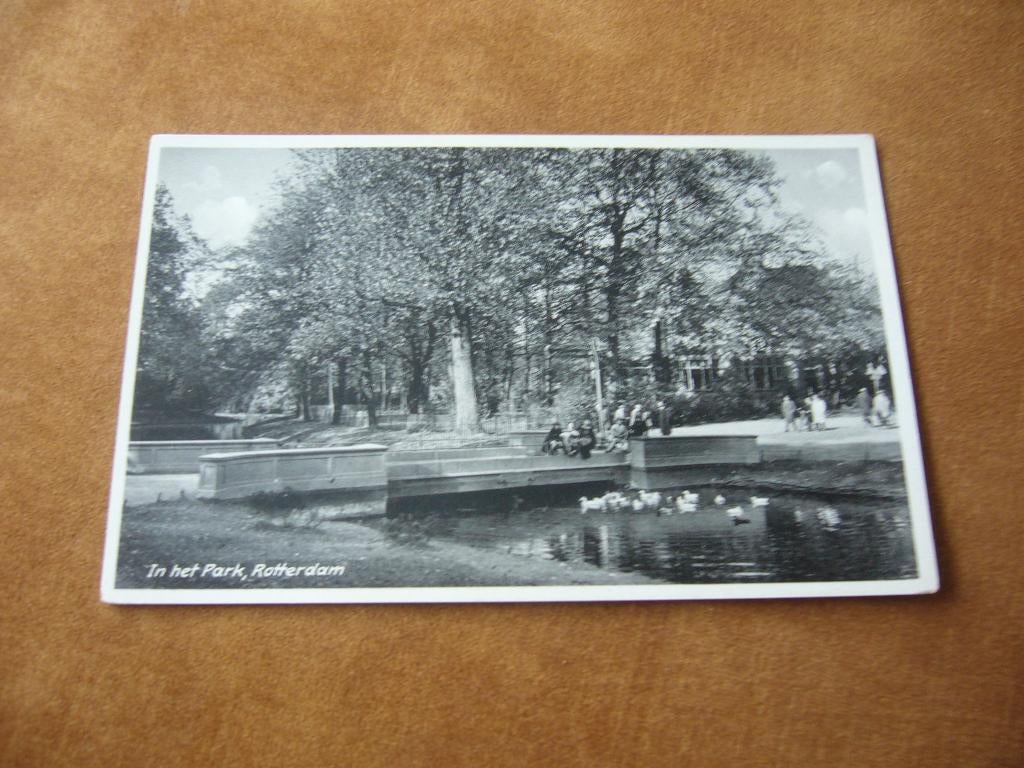 ROTTERDAM  =  IN HET PARK, Ophalen of Verzenden, 1920 tot 1940, Ongelopen, Zuid-Holland