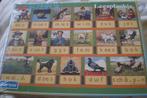 Puzzel - Leesplankje Aap Noot Mies - 99 stukjes - Nieuw, Ophalen of Verzenden, Meer dan 50 stukjes, Nieuw, 6 jaar of ouder