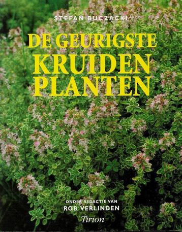 De geurigste kruidenplanten