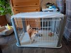 Mooie puppy benz, Ophalen of Verzenden, Zo goed als nieuw