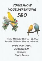 Vogelshow Schagen & Omgeving, Dieren en Toebehoren, Vogels | Kanaries, Meerdere dieren, Kleurkanarie