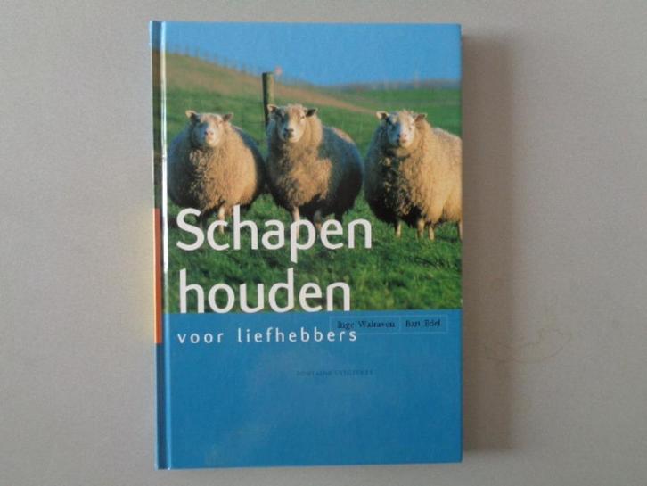 Schapen houden voor liefhebbers / Inge Walraven - Bart Edel, Boeken, Dieren en Huisdieren, Zo goed als nieuw, Overige diersoorten