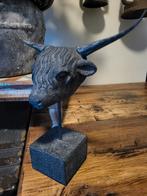 Twee Schotse Hooglanders, Ophalen of Verzenden