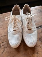 Nieuwe Gabor sneakers schoenen wit H6,5 = 40, Kleding | Dames, Schoenen, Ophalen of Verzenden, Zo goed als nieuw, Wit, Sneakers of Gympen