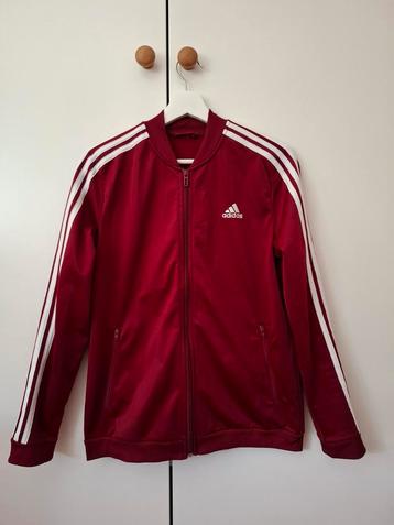 Adidas jack bordeaux rood dames maat S beschikbaar voor biedingen