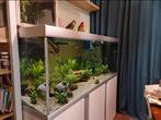 Supermooi Aquarium 160x60x60 inc Led met app,filters,co2, Ophalen, Zo goed als nieuw, Gevuld zoetwateraquarium