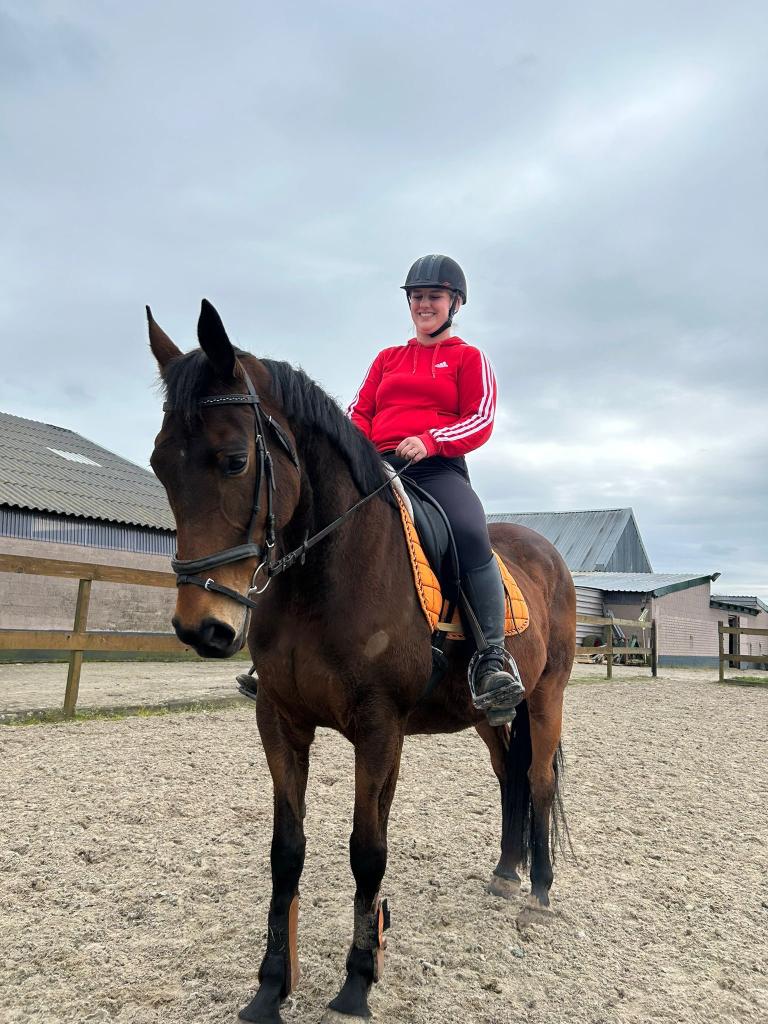 Gezonde , knappe 12 jarige merrie, Merrie, Met stamboom, Zadelmak, 160 tot 165 cm