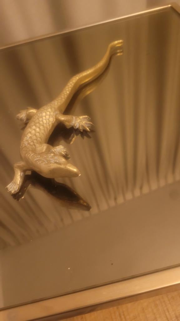 Hagedis varaan, Ophalen of Verzenden