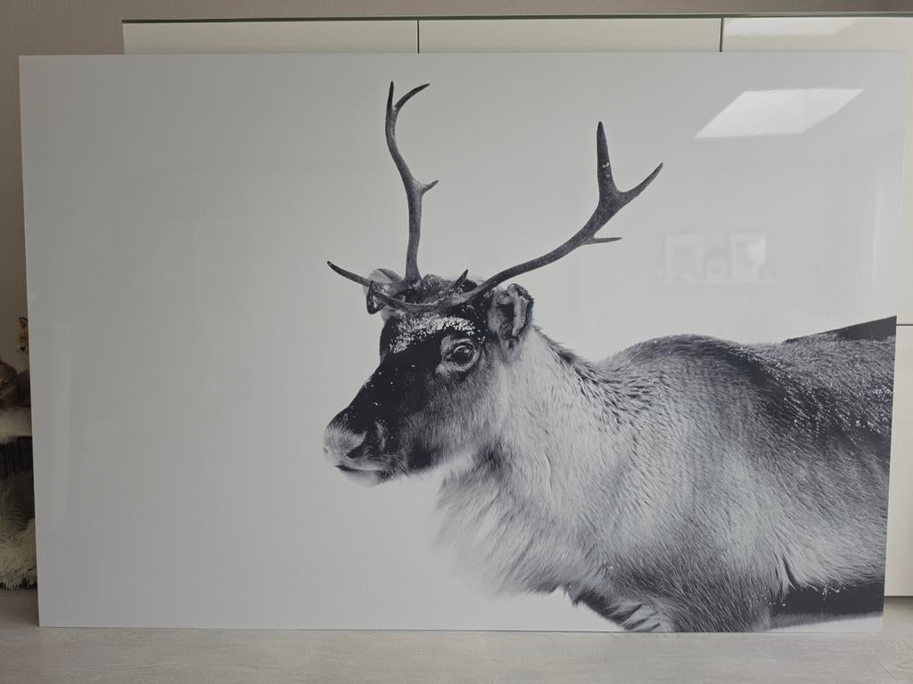 Groot aluminium schilderij met rendier - 180x120 cm, Huis en Inrichting, Woonaccessoires | Schilderijen, Tekeningen en Foto's