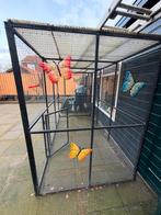 Kattenren, Dieren en Toebehoren, Katten-accessoires, Ophalen