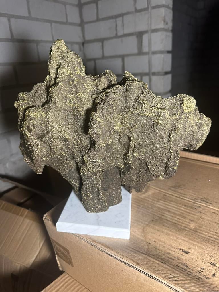 Richmond Coral Brons/Goud Decoratie, Ophalen of Verzenden, Nieuw