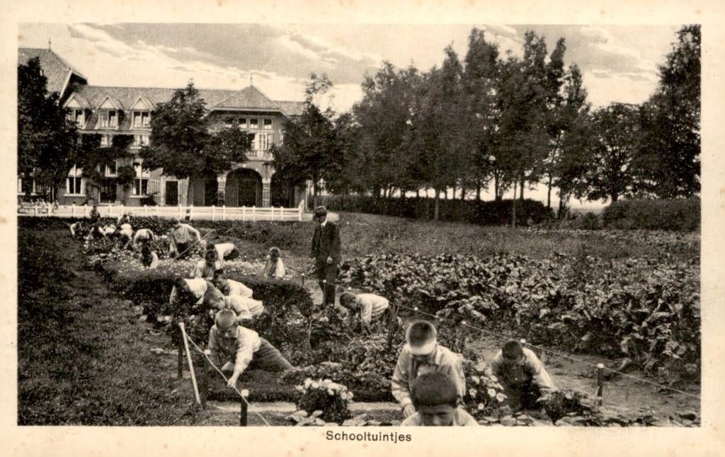 Alphen aan de Rij Martha Stichting  Brini nr 2550.9 # 548, Verzamelen, Verzenden, 1920 tot 1940, Ongelopen, Zuid-Holland