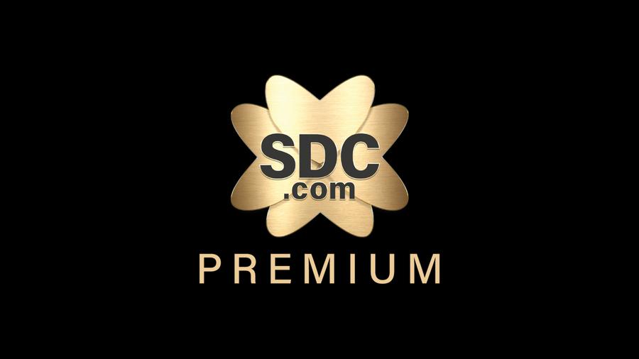 Jaarabonnement SDC, Tickets en Kaartjes, Eén persoon, Overige soorten