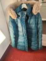 Winterjas Tommy Hilfiger L/XL, Kleding | Dames, Jassen | Winter, Ophalen, Maat 46/48 (XL) of groter, Gedragen, Groen