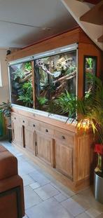 Groot dubbel terrarium met 3D achterwand, bovenkast, Ophalen