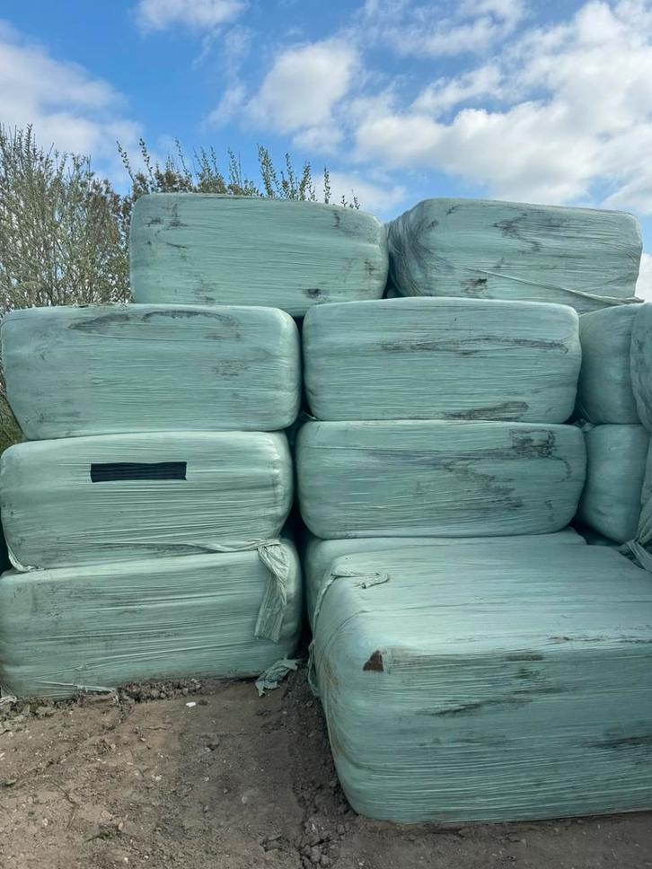 Vierkante balen weidehooi in folie voordroog paardenhooi, Dieren en Toebehoren, Dierenvoeding, Ophalen