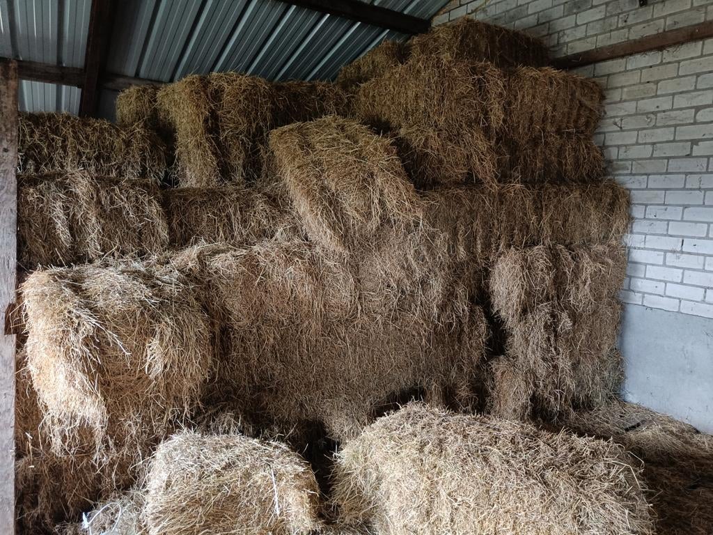 Kleine pakjes hooi, Dieren en Toebehoren, Ophalen of Verzenden, Vee
