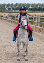 Mooie lieve Welsh met potentie, Dieren en Toebehoren, Dressuurpony, L, 7 tot 10 jaar, B pony (1.17m tot 1.27m)