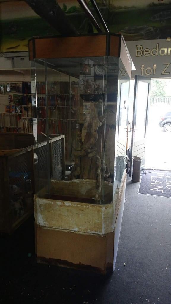 Glazen Terrarium 223 cm Hoog – Zeldzaam Tropisch Hout, Dieren en Toebehoren, Reptielen en Amfibieën | Toebehoren, Ophalen, Terrarium of Paludarium