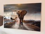 Foto op glas - Olifant - 150x100 cm, Ophalen, Overige materialen, 125 cm of meer, Zo goed als nieuw