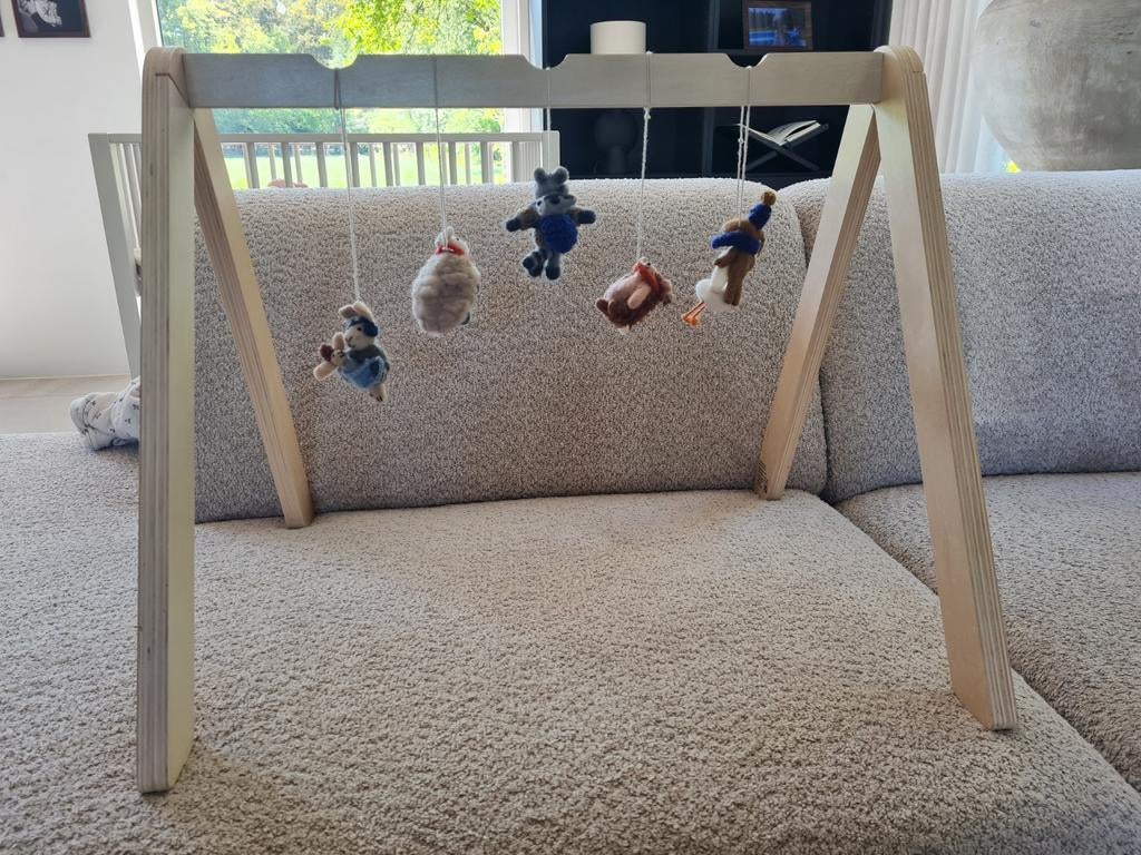 Leuke babygym, Ophalen, Jongen of Meisje