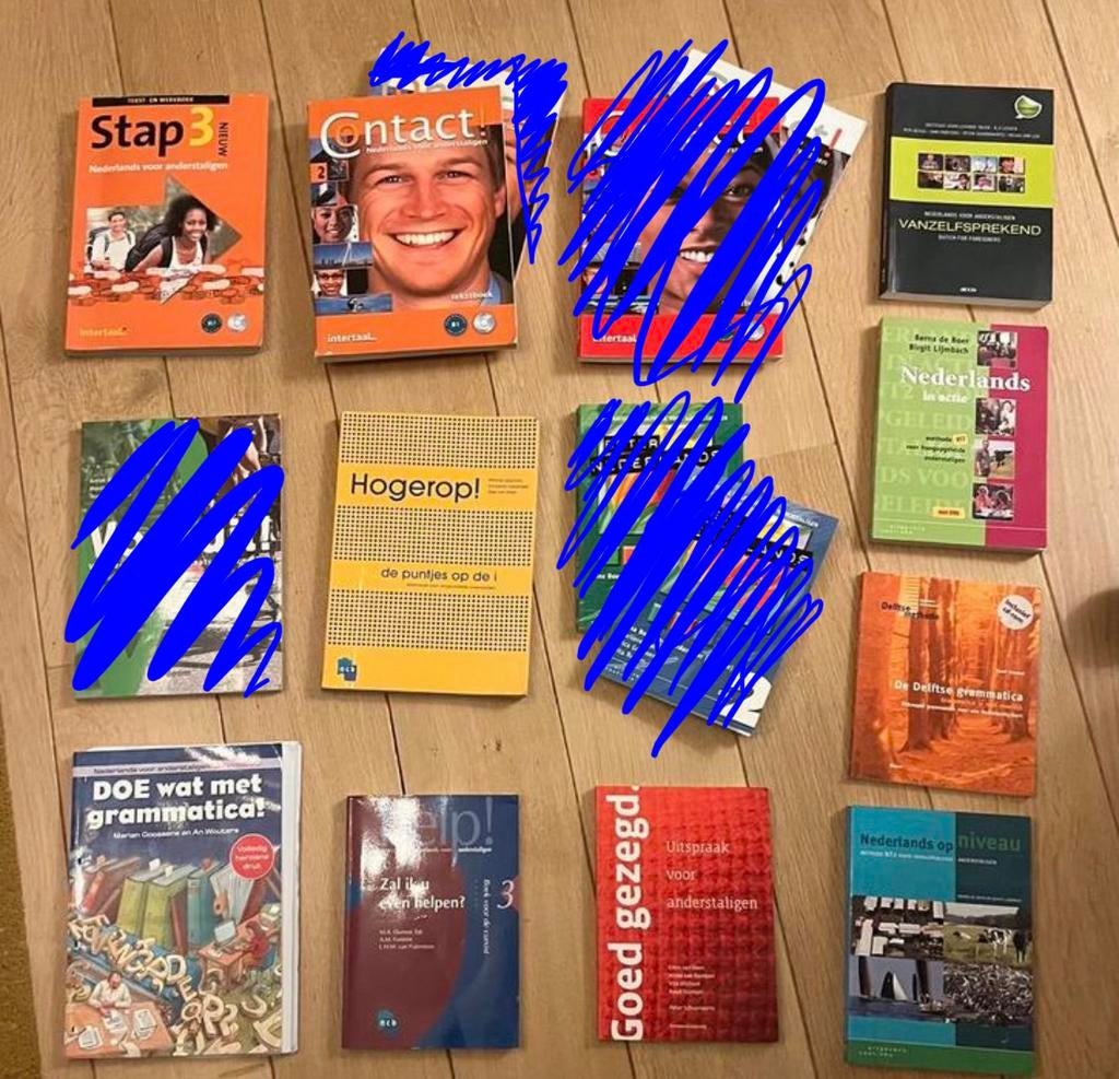NT2 boeken Nederlands voor anderstaligen, Ophalen of Verzenden, Zo goed als nieuw