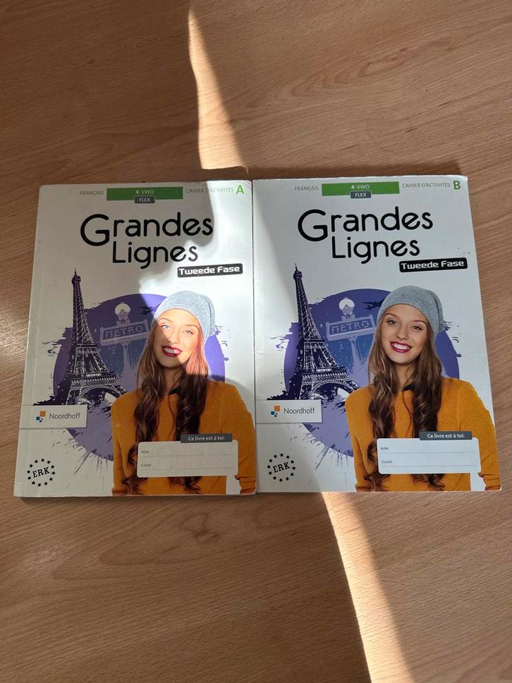 Grandes Lignes Frans 4 VWO FLEX Cahier d'activités A & B, Boeken, Taal | Frans, Nieuw, Non-fictie, Ophalen of Verzenden