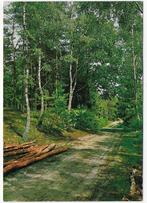 Vierhouten gelopen Ansichtkaart (B2832 ), Ophalen of Verzenden, 1980 tot heden, Gelopen