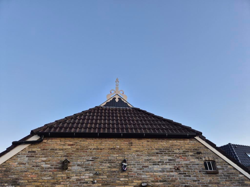 Gratis Sneldekker Dakpannen Rood/Bruin (ca. 180m2), Doe-het-zelf en Verbouw, Dakpannen en Dakbedekking, Ophalen