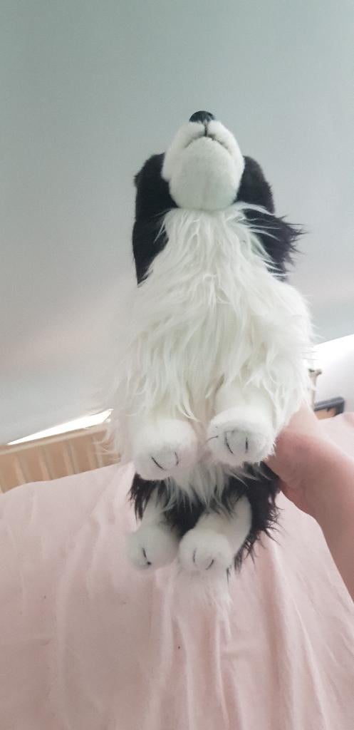 Knuffel border collie essa, Ophalen of Verzenden, Nieuw