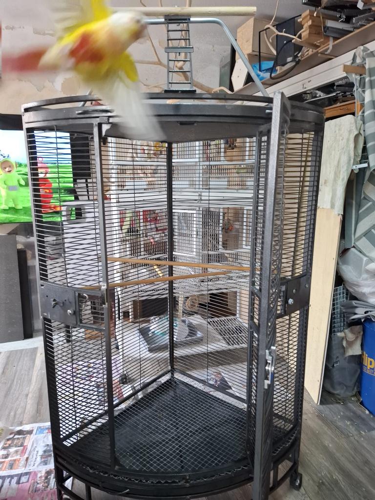 Papegaaienkooi Nadia, Dieren en Toebehoren, Ophalen, Zo goed als nieuw, Metaal, Vogelkooi