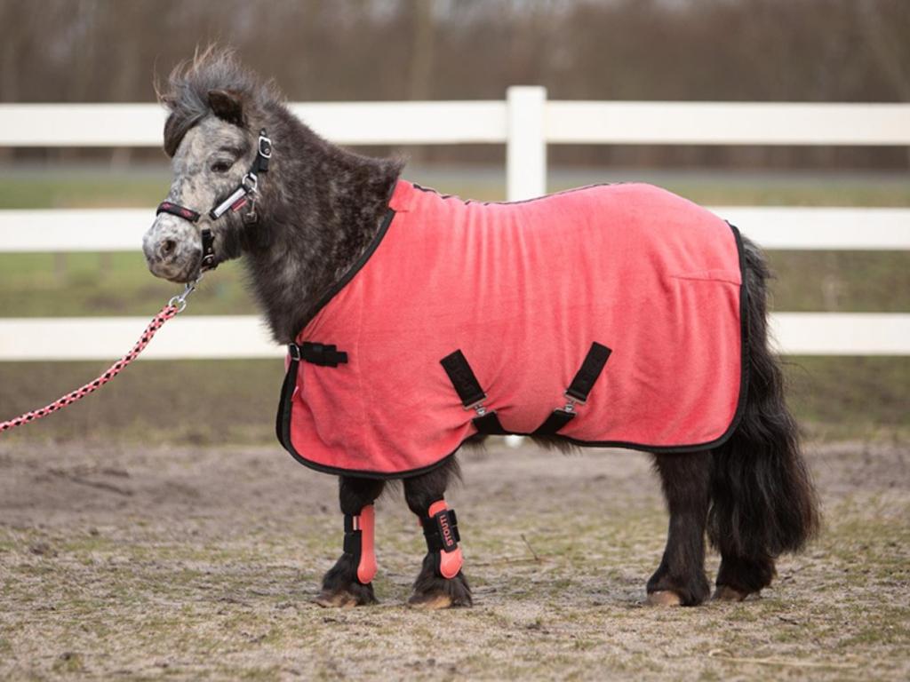 Groot assortiment dekens voor uw paard en pony., Dieren en Toebehoren, Niet ingevuld, Niet ingevuld, Nieuw, Ophalen of Verzenden