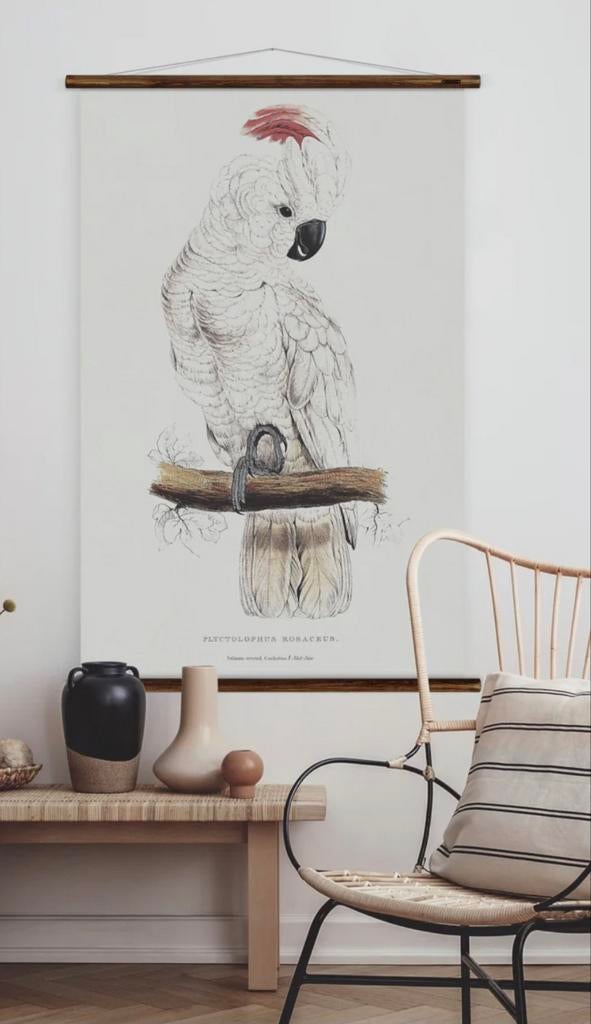 Vintage Ertswhile Kaketoe Print - 80 x 125 cm, Nieuw, Ophalen of Verzenden, Print, 75 cm of meer