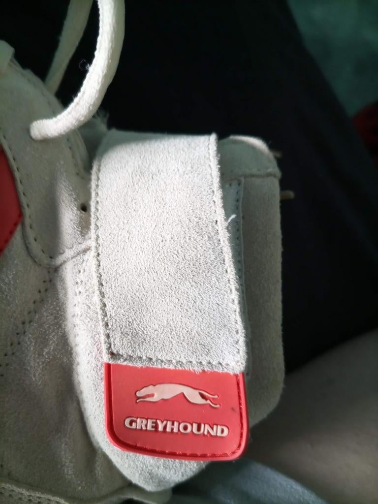 Greyhound schoenen. Maat 42., Kleding | Dames, Schoenen, Nieuw, Sneakers of Gympen, Bruin, Ophalen of Verzenden