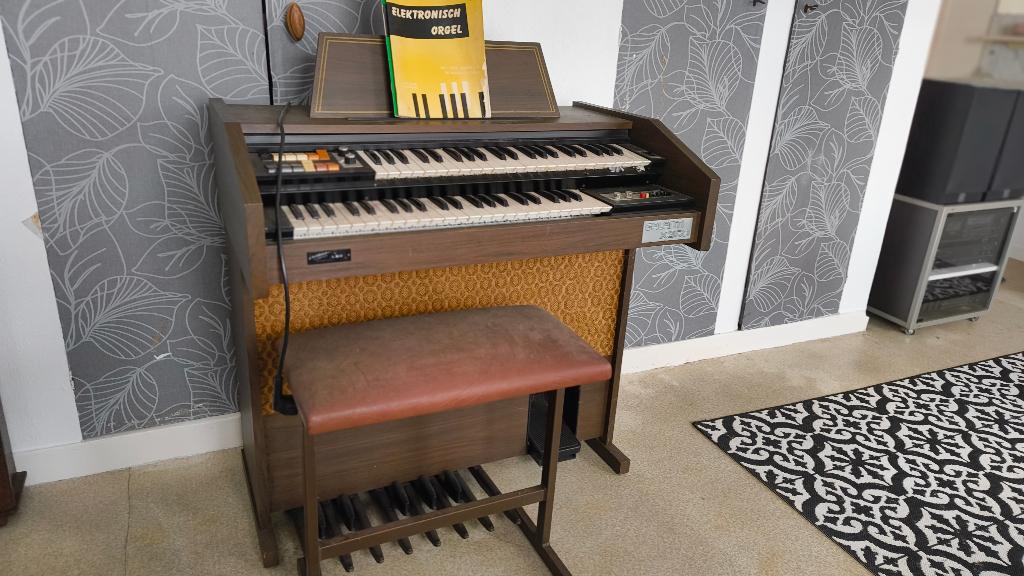 Electronisch orgel, Muziek en Instrumenten, Orgels, Ophalen, Gebruikt, 2 klavieren, Orgel