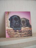 3D Honden /Panda/ Olifant/ Leeuw, Minder dan 50 cm, Gebruikt, Overige typen, Ophalen of Verzenden