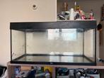 Aquiarium/terrarium, Dieren en Toebehoren, Vissen | Aquaria en Toebehoren, Ophalen, Leeg aquarium