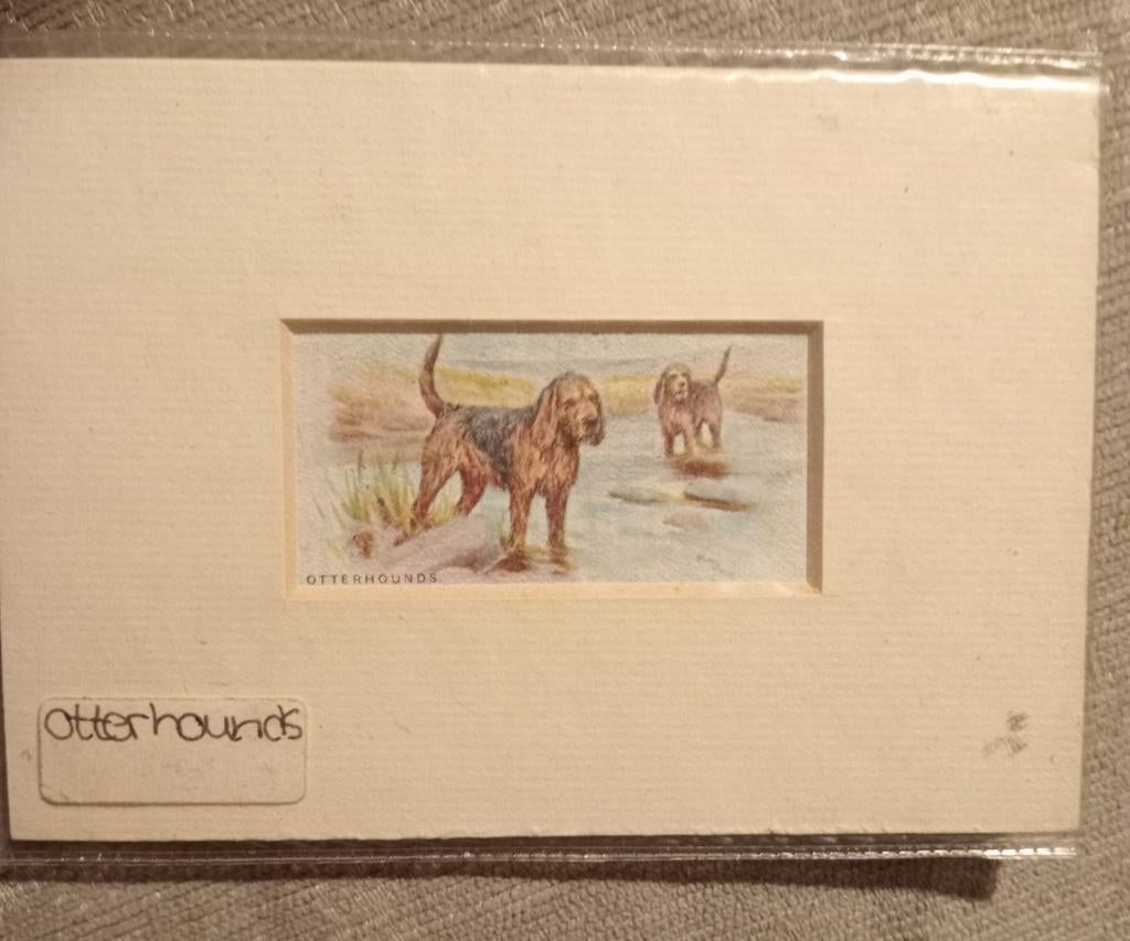 Vintage John Player & Sons Otterhounds Hondenkaart, Verzamelen, Ophalen of Verzenden