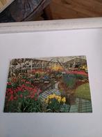 KEUKENHOF. LISSE, Ophalen of Verzenden