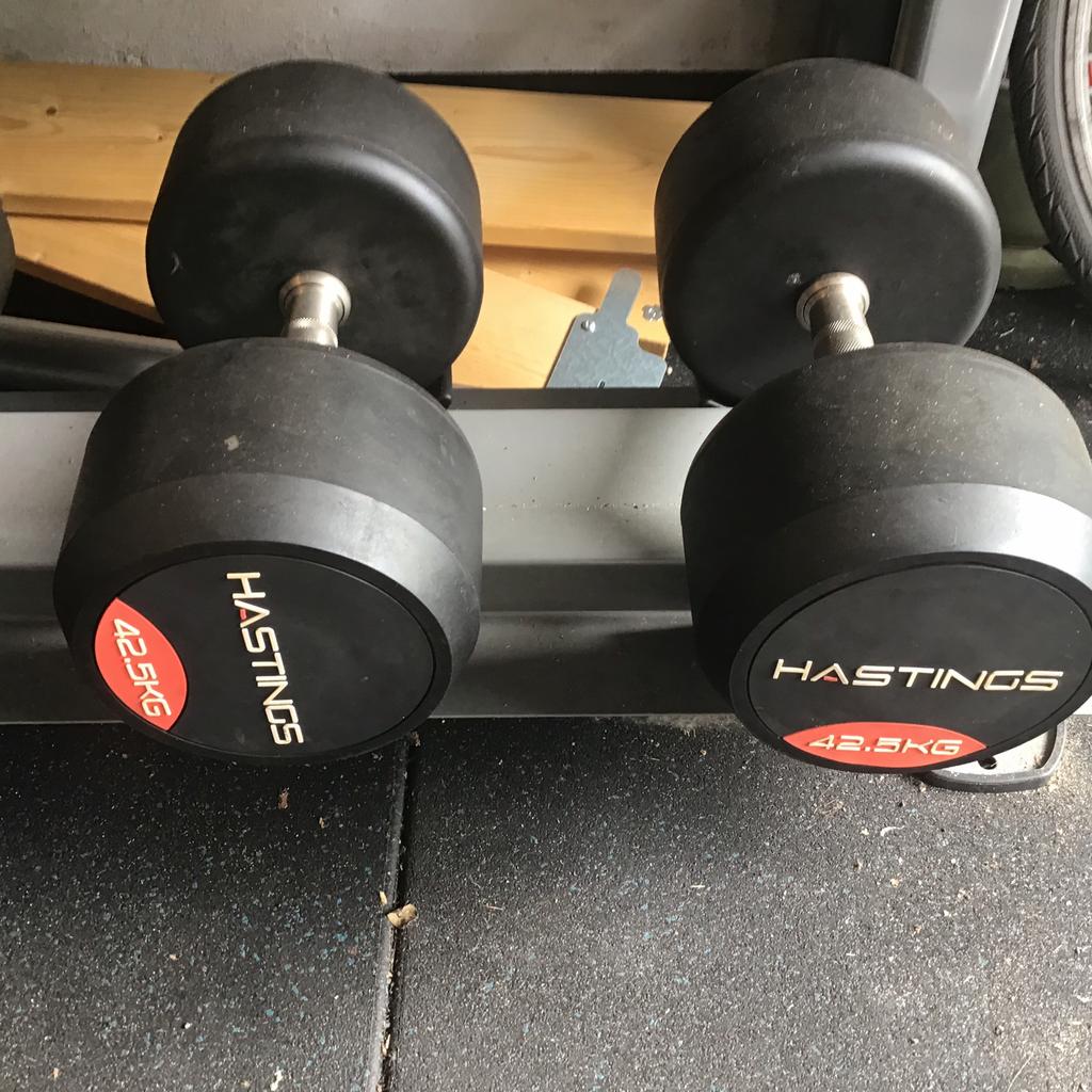 Hastings Professionele Dumbbells 2x42,5 kg - Zo goed als nie, Ophalen, Zo goed als nieuw, Armen, Dumbbell