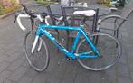 Focus Cayo Carbon Racefiets - Maat 52, Fietsen en Brommers, Overige merken, 28 inch, Gebruikt, Carbon