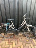 Damesfiets - Gebruikt opknapper, Ophalen, Batavus, 53 tot 56 cm, Gebruikt