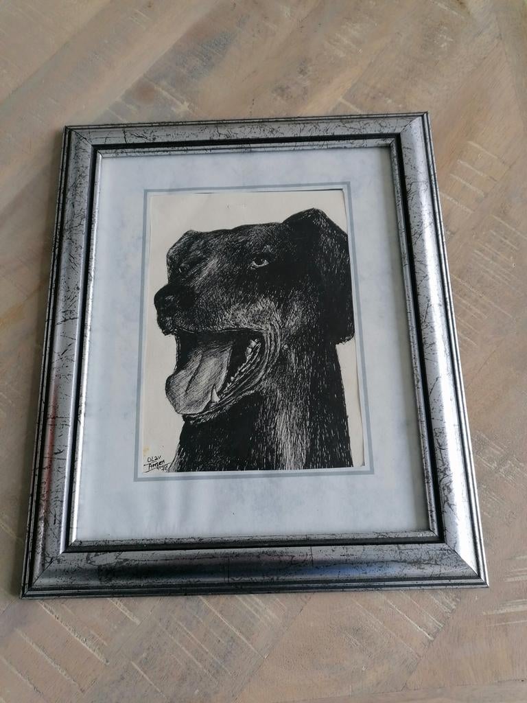 Potlood tekening van Olav Amsen, Antiek en Kunst, Kunst | Tekeningen en Foto's, Ophalen of Verzenden