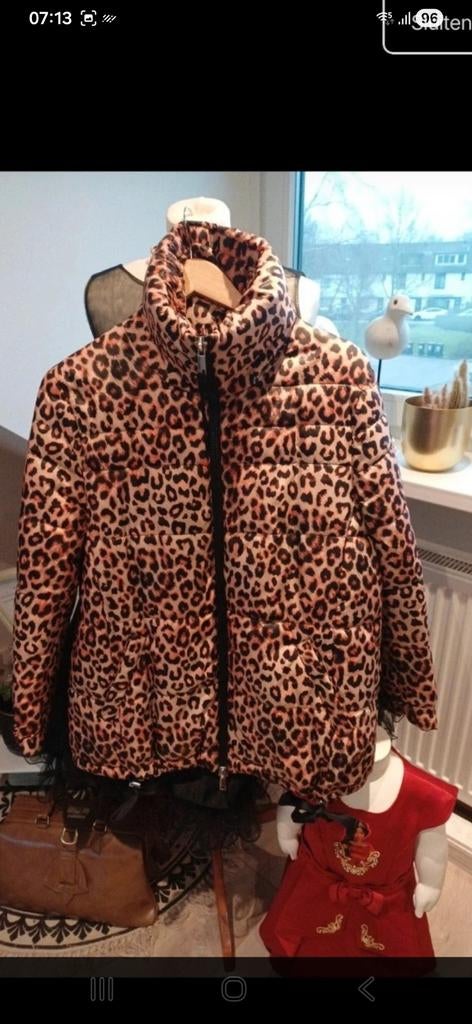 Taifun Jack Jas 40, Kleding | Dames, Maat 38/40 (M), Ophalen of Verzenden, Zo goed als nieuw, Taifun