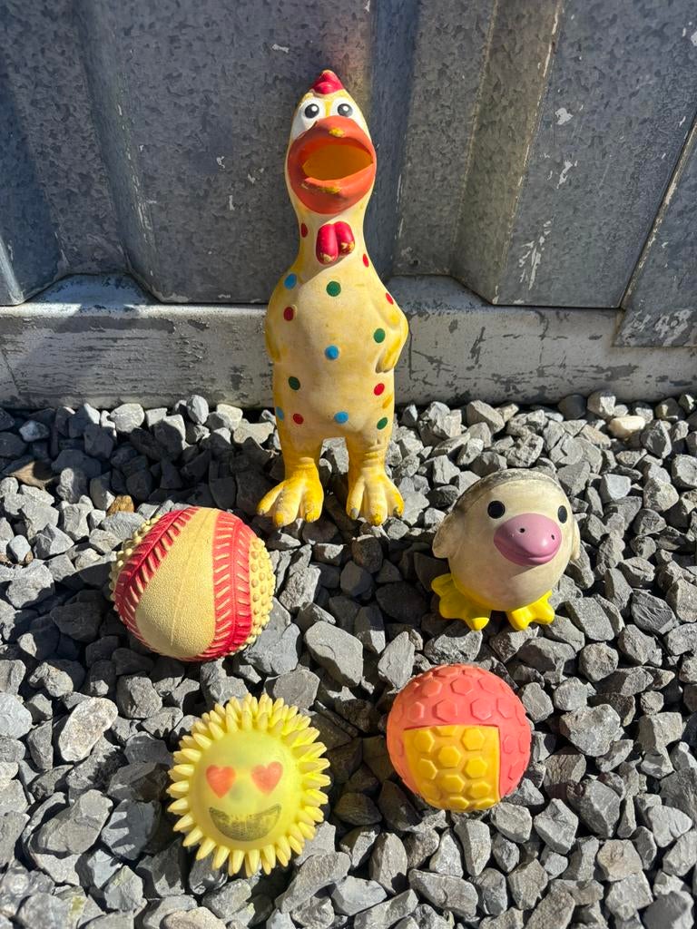 5x hondenspeelgoed met piep | ballen kip pinguïn, Dieren en Toebehoren, Ophalen of Verzenden