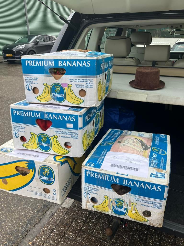 Ongeopende surprise dozen, Diversen, Rommelmarktspullen, Ophalen of Verzenden, Gebruikt