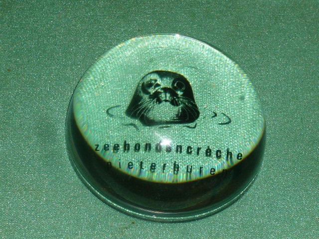 Zeehonden Creche Pieterburen Presse Papier Glas, Antiek en Kunst, Antiek | Glas en Kristal, Ophalen