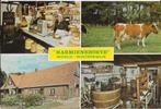 Q274 Ongelopen ansichtkaart harmienehoeve woold winterswijk, Ophalen of Verzenden, 1980 tot heden, Ongelopen, Gelderland
