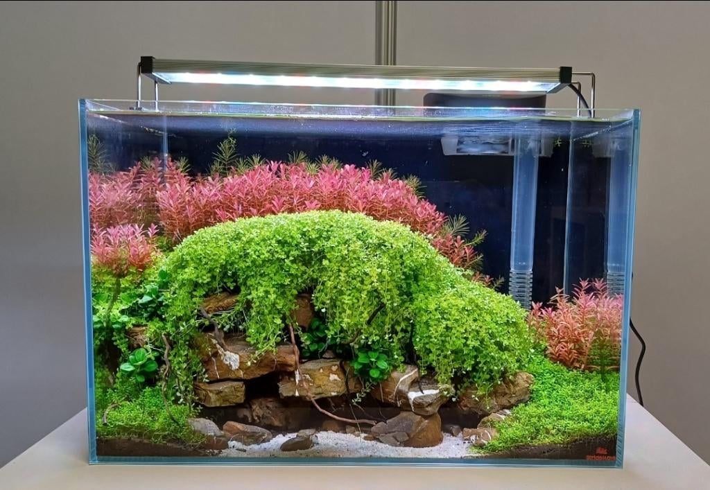 Twinstar 450E IV, Dieren en Toebehoren, Verlichting of Verwarming, Overige merken, Ophalen of Verzenden, Zo goed als nieuw